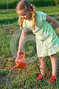 Little girl watering the onion seedlings