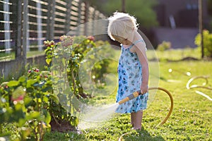 Little girl watering plants in the garden