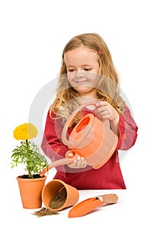 Little girl watering potted flower