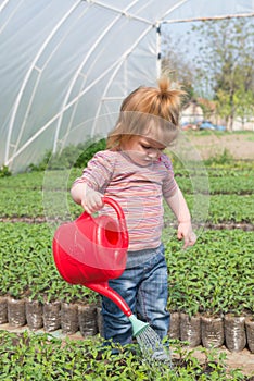 Little girl watering