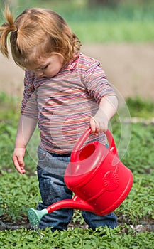 Little girl watering