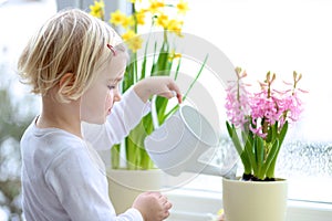 Little girl watering spring flowers at home