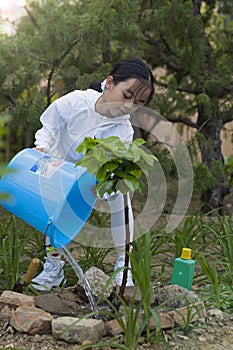 Little girl watering tree