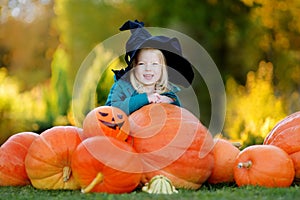 Little girl wearing halloween costume on a pumpkin patch