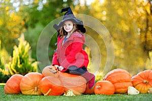 Little girl wearing halloween costume on a pumpkin patch