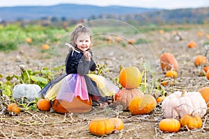 Little girl wearing halloween fairy costume on pumpkin patch