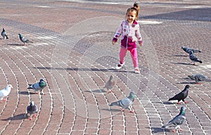 A little girl chasing pigeons