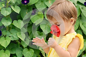 Little girl in yellow dress smelling red poppy flower