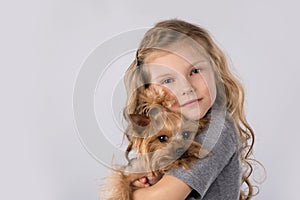 Little girl with Yorkshire Terrier dog isolated on white background. Kids pet friendship