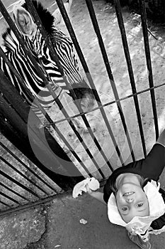 A little girl and a zebra. Zoo