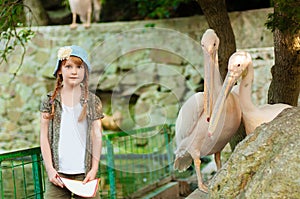 Little girl at the zoo with pelicans