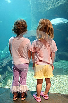 Little Girls at Aquarium