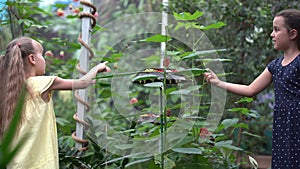 Little girls catching butterflies with a net on a green meadow in slow motion