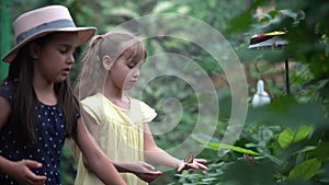 Little girls catching butterflies with a net on a green meadow in slow motion