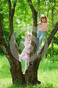 Little girls climbing to the tree