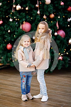 Little girls in coats near large Christmas tree