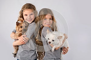 Little girls with dogs isolated on gray background. Kid Pet Friendship