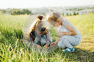 Little girls are looking at insects in the green grass on the field.