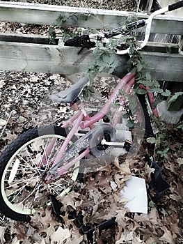 Little girls old bicycle in the yard