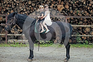 Little girls ride on horse on summer day. Equine therapy, recreation concept. Children smile in rider saddle on horse