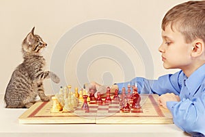 Little grandmaster with pretty kitten plays chess.