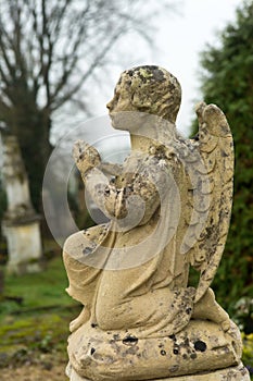 Little graveyard angel