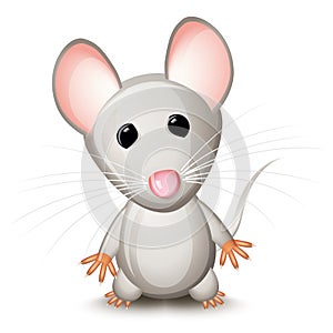 Little gray mouse