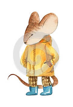 A little gray mouse in yellow coat and blue boots