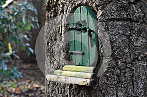 Little green fairy / pixie door in a tree trunk