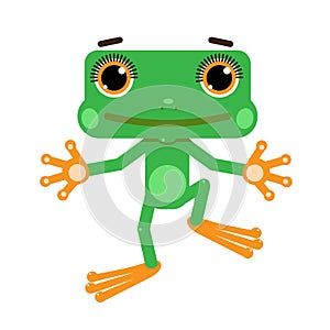 Little Green Frog Illustration