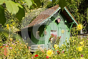 Little green house in garden