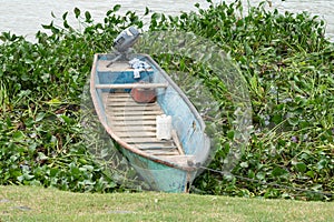 Little green wooden boat sitting empty near the shore of a river