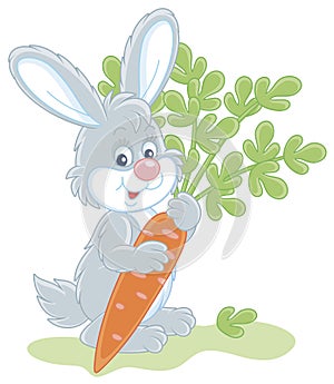 Little grey bunny with a tasty carrot