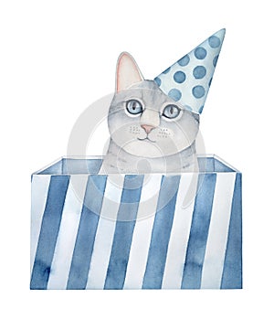 Little grey kitten sitting inside striped gift box and wearing light blue cone party hat with polkadot pattern.
