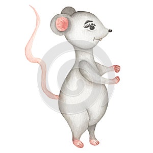 Little Grey Mouse . Cute cartoon Christmas animal rat or mouse. Watercolor illustration. Christmas and New Year card