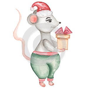 Little  Grey Mouse in a  red christmas hat and boots with Christmas candy. Cute cartoon Christmas animal rat or mouse with gift