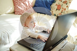 Little IT guy. Cute little baby holding hands on laptop keyboard and looking at monitor while sitting on the bed