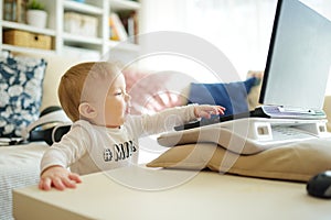 Little IT guy. Cute little baby holding hands on laptop keyboard and looking at monitor while sitting on the bed