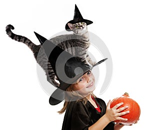 Little hallowen witch