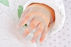 Little hand of baby