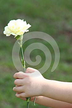 Little hand holding flower
