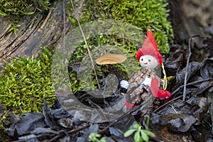 Little hand made santa clause figurine sitting outdoors between withered leaves of moss and mushrooms on a stump