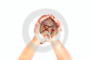 Little hands of child hold in the palm of wooden heart. Top view. Copy space, closeup.