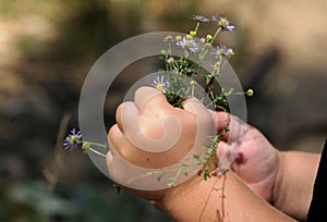 Little Hands