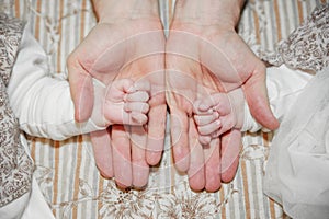 The little hands of the twin babies rest on dad`s palms. The concept of Father`s Day, happy motherhood, care and love of childre