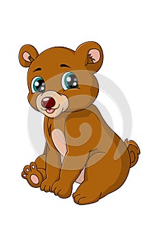 A little happy baby brown bear sitting, design animal cartoon