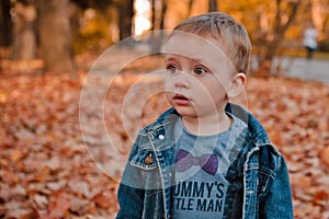 Little happy boy in blue jacket is playing with leaves at golden autumn park background