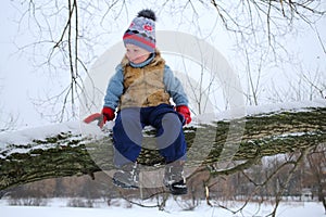 Little happy boy sits on thick branch of tree in