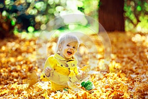 Little happy boy in yellow jacket playing with leaves