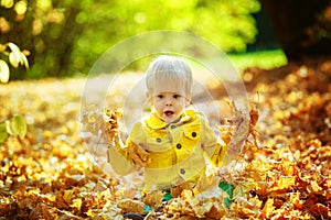 Little happy boy in yellow jacket is playing with leaves